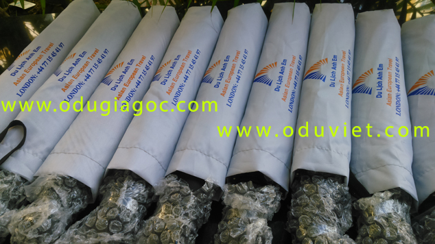 Du-chong-lat-o-chong-lat-du-2-tang-chong-lat-o-2-tang-chong-lat-du-vai-day-o-to-o-to-o-du-chong-lat-o-du-vai-cao-cap-8
