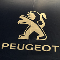 Ô dù xe hơi Peugeot